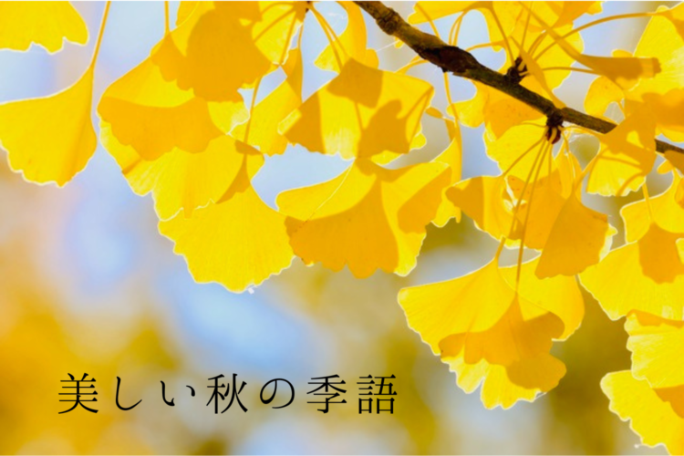 秋の季語:美しい