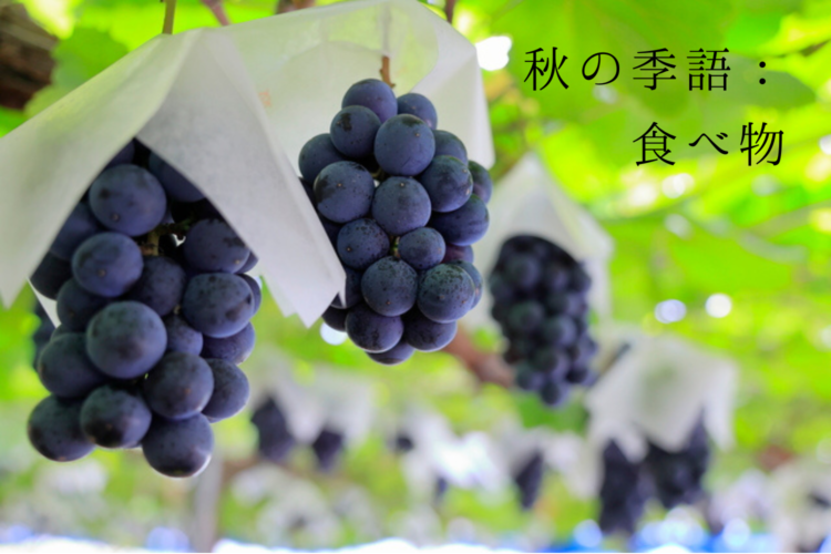 秋の季語:食べ物