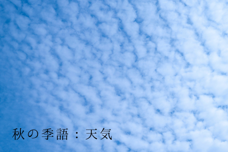 秋の季語:天気