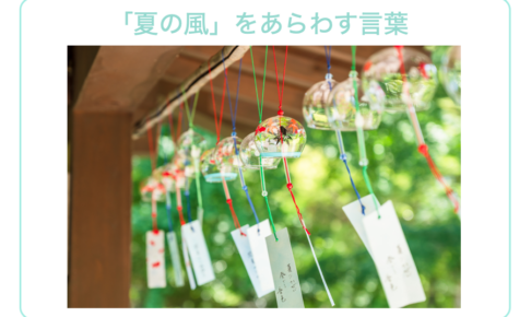 「夏の風」をあらわす言葉｜日本の夏を彩る季語