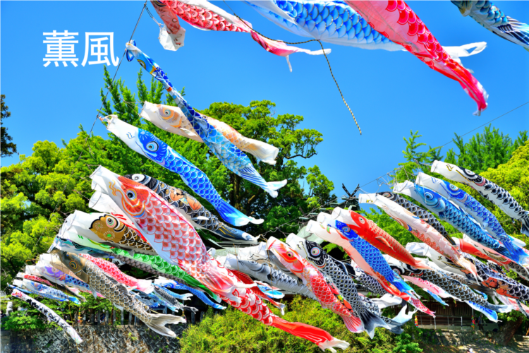 初夏を告げる光と香りの風