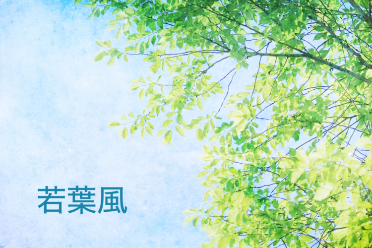 命を育む緑の風