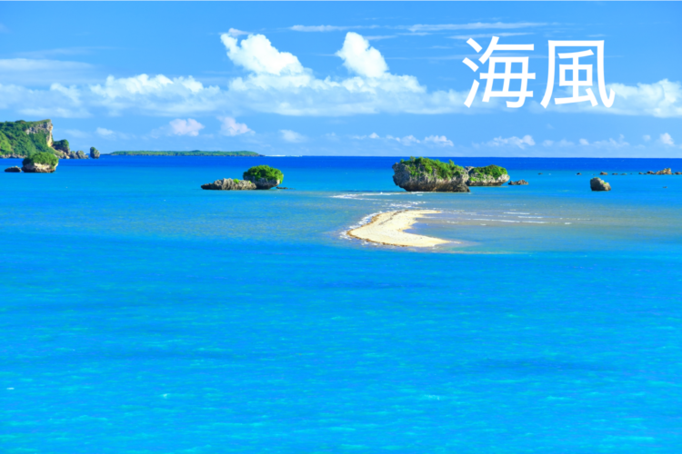 盛夏の熱気と涼を求める風