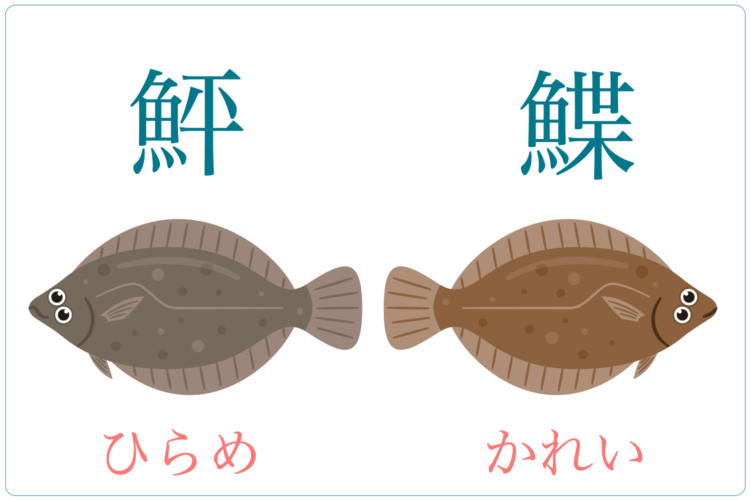 読み方が難しい魚の漢字