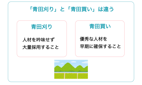 「青田刈り」を「青田買い」の意味で使う人が約30％！正しい意味と使い方を解説